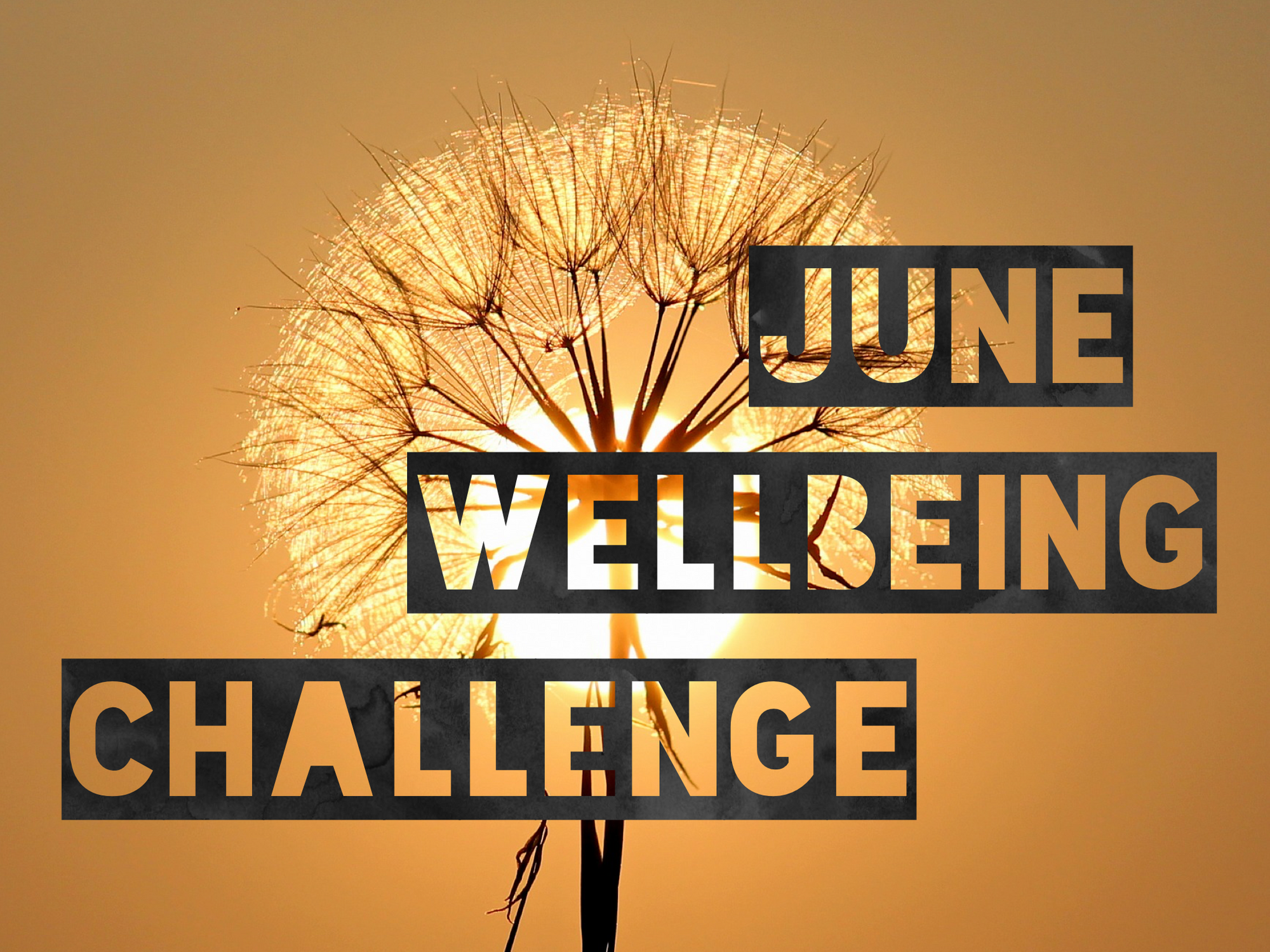 June Wellbeing Challenge