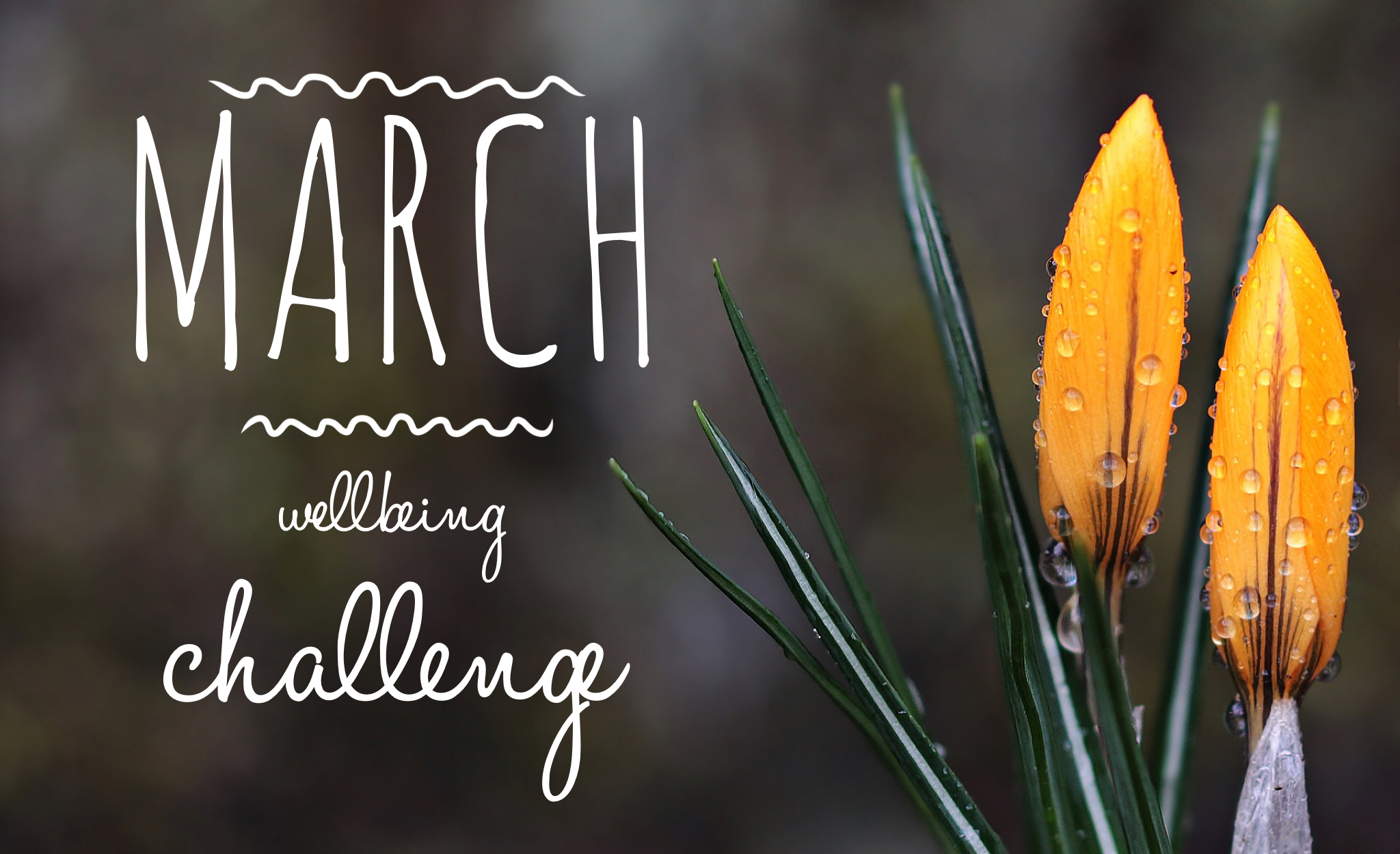 March Wellbeing Challenge 2018
