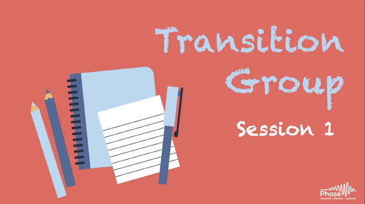 Transition Groups