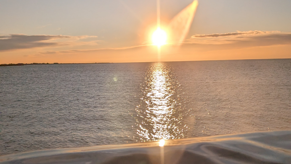 Lessons from a year of gratitude journaling